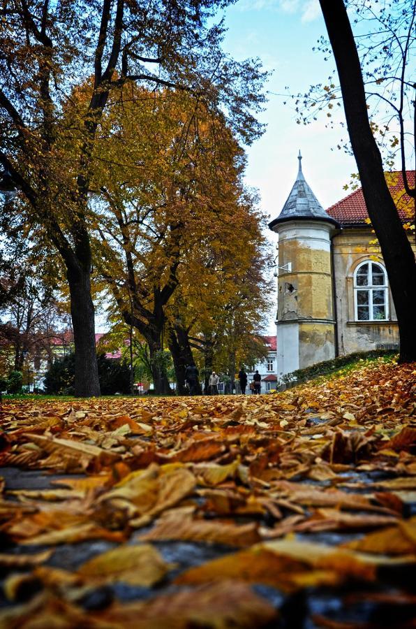 Apartamenty Centrum Andrychów Exteriér fotografie